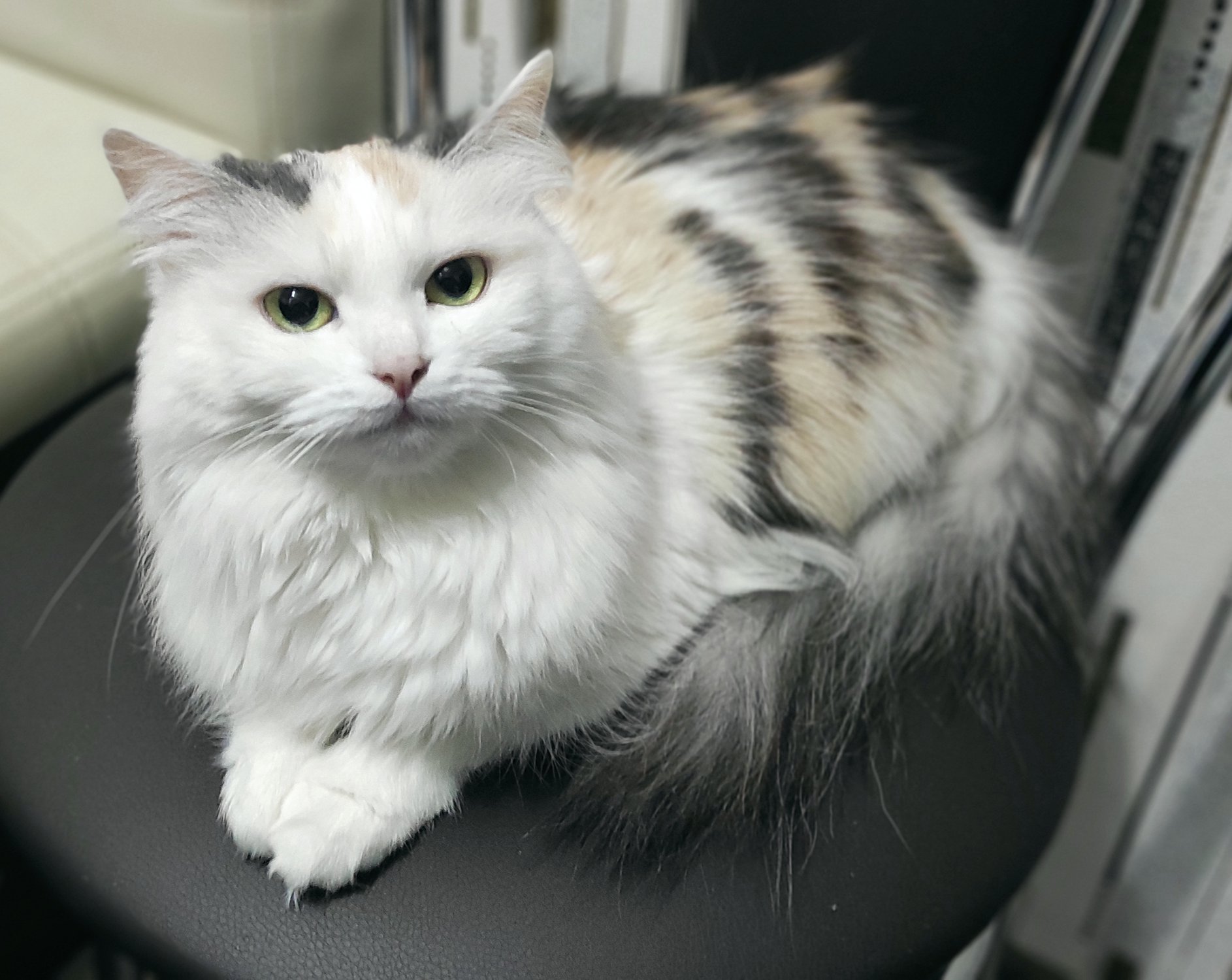 В ожидании завтрака