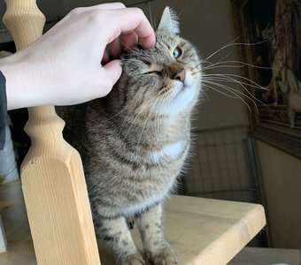 Нежности каждому