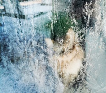 Морозное утро