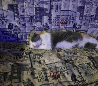 Уютный вечер