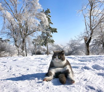 И пусть весь мир подождёт.