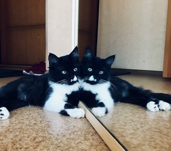 День семьи, любви и верности