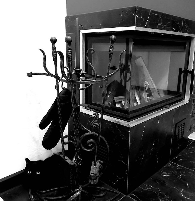 Кот Бегемот — Фото №1398151