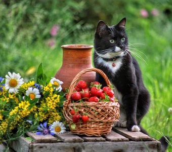 Мы снимаем натюрморт