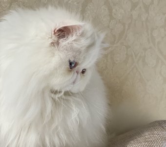 Облако