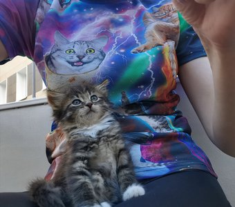 Селфи с друзьями