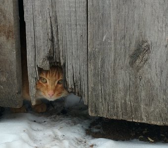 Всегда есть выход