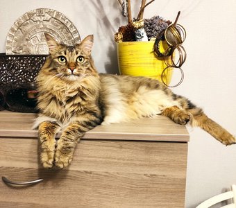 Алочка и я - звезда ! Я - модель !