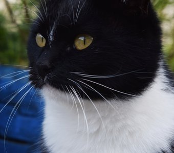 Сама серьёзность