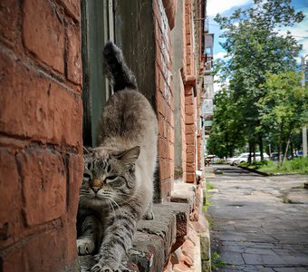 Утро на окраине города