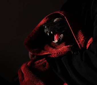 Банный день