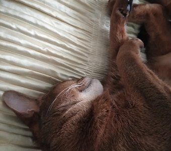 Безмятежность