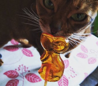 Почему она не пищит?