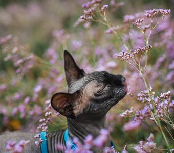 Дыши полной грудью