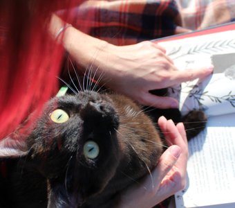 А мы, правда, потом домой вернемся?!