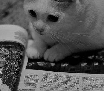 Как интересно....