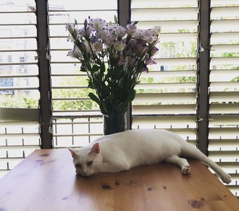 Картина маслом