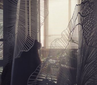 Все сбудется