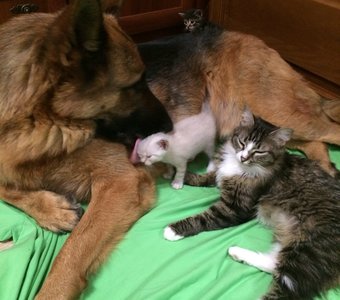 Начало большой дружбы...ждите продолжение