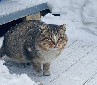 Скоро весна?