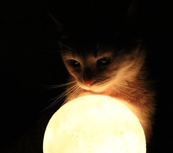 Солнце и Луна