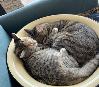 Уютный тазик)