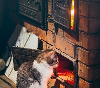 В ожидании весны.