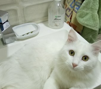 Помывочная