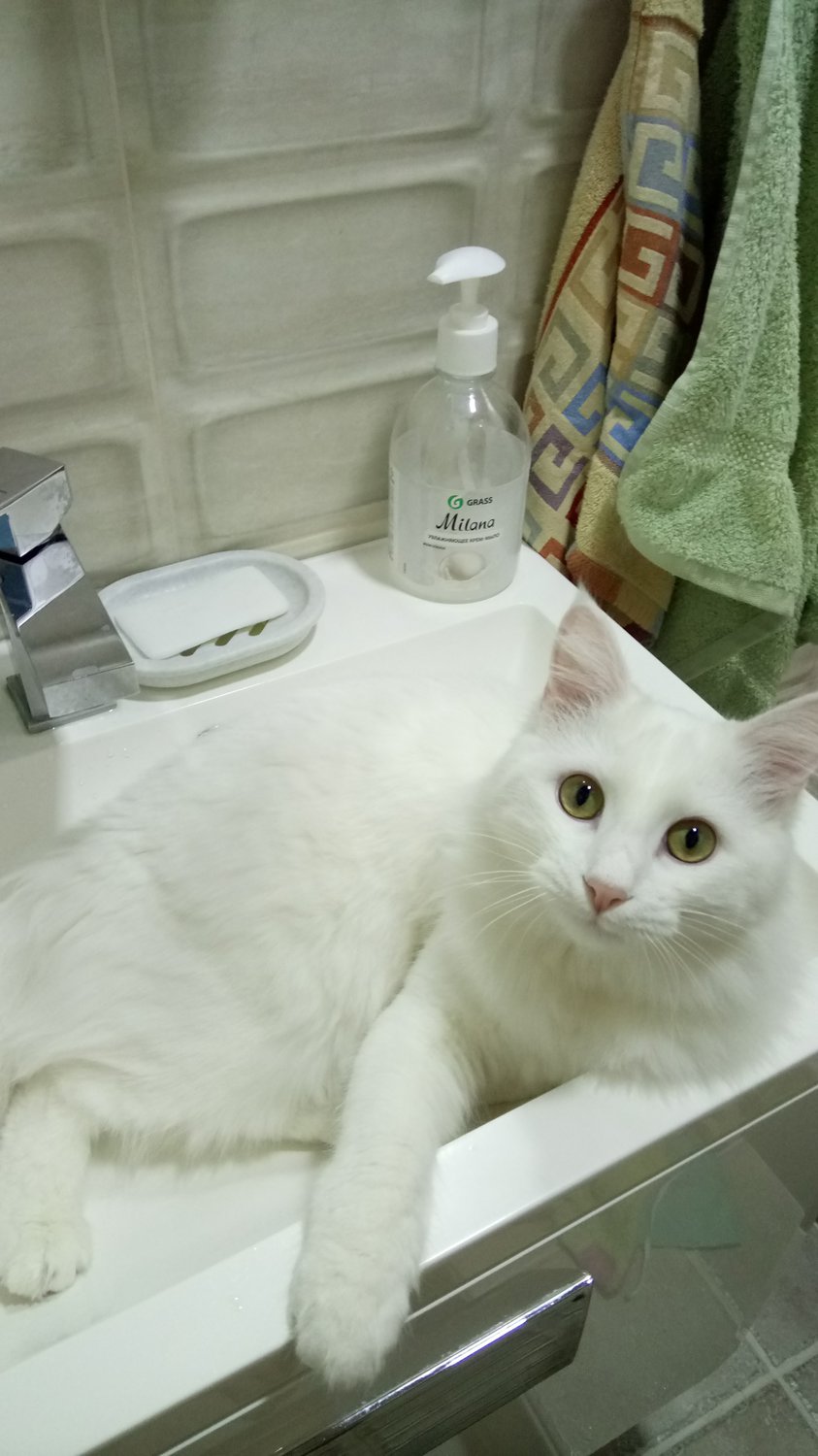 Помывочная