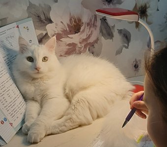 Учебный процесс