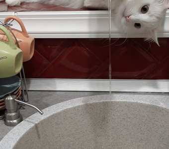 Подруги приплыли