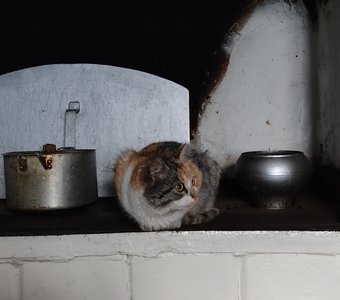 Хранитель очага