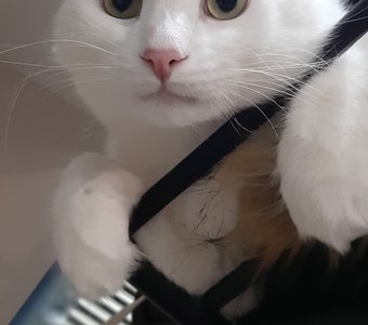 Красавчик в кадре