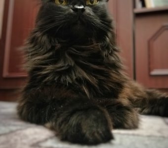 С нижнего ракурса