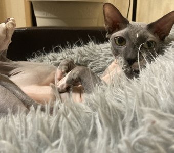 Ах, эти глазки