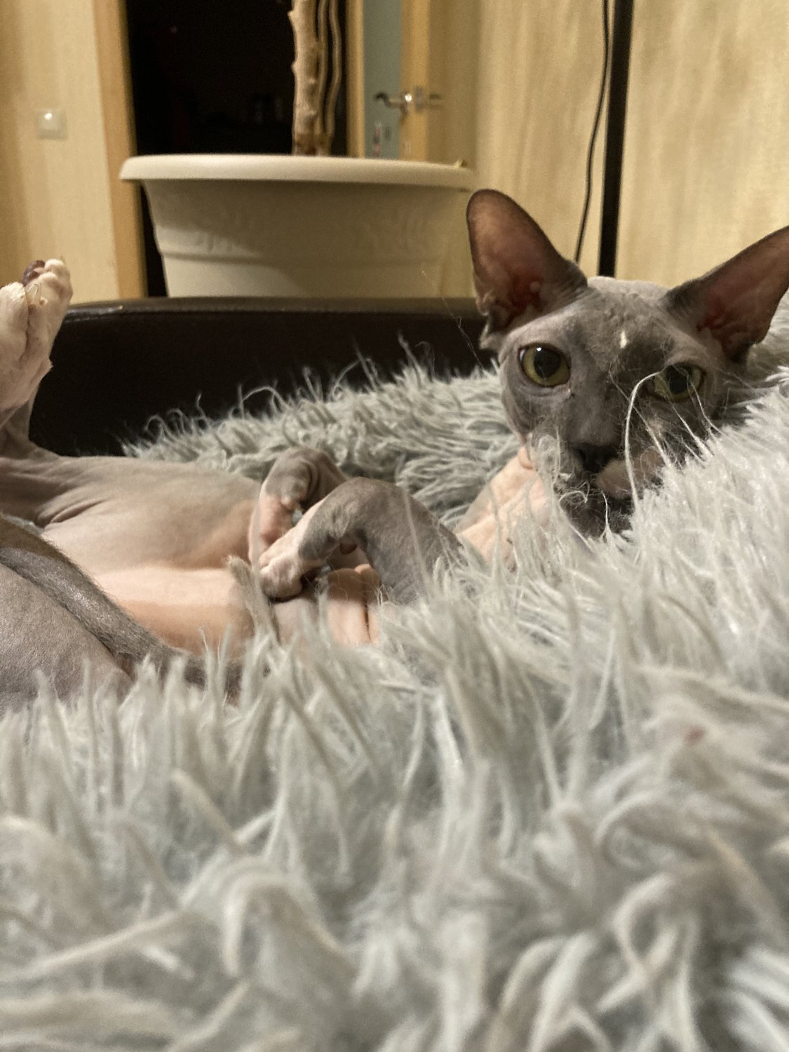 Ах, эти глазки