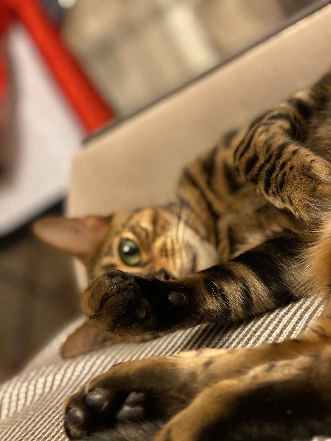 Сонное царство — Фото №1400421