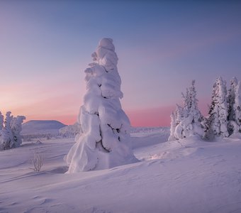 Мягкое касание нового дня