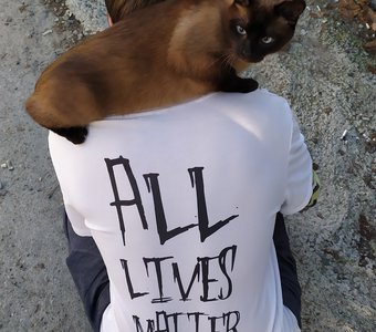 All lives matter