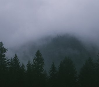 Туман в Альпах