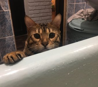 Я слежу за тобой