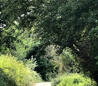 Природа в Дагестане.