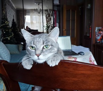 Была бездомная сейчас моя