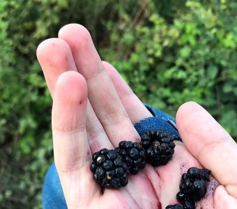 Природа в Дагестане.