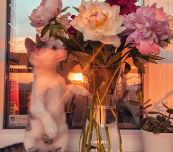 Маленький любитель цветов❤️