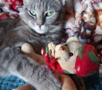 Была бездомная сейчас моя