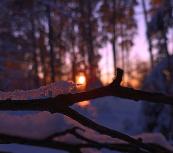 Декабрьское солнце