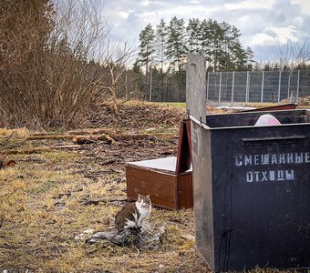 Сортировщик мусора