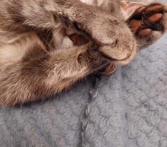 Была бездомная сейчас моя