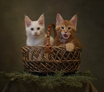 Корзинка с подарками